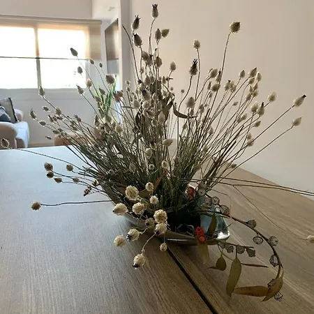 Flat In Centre - 5 Mins From Old Town And Train Station Lejlighed Girona